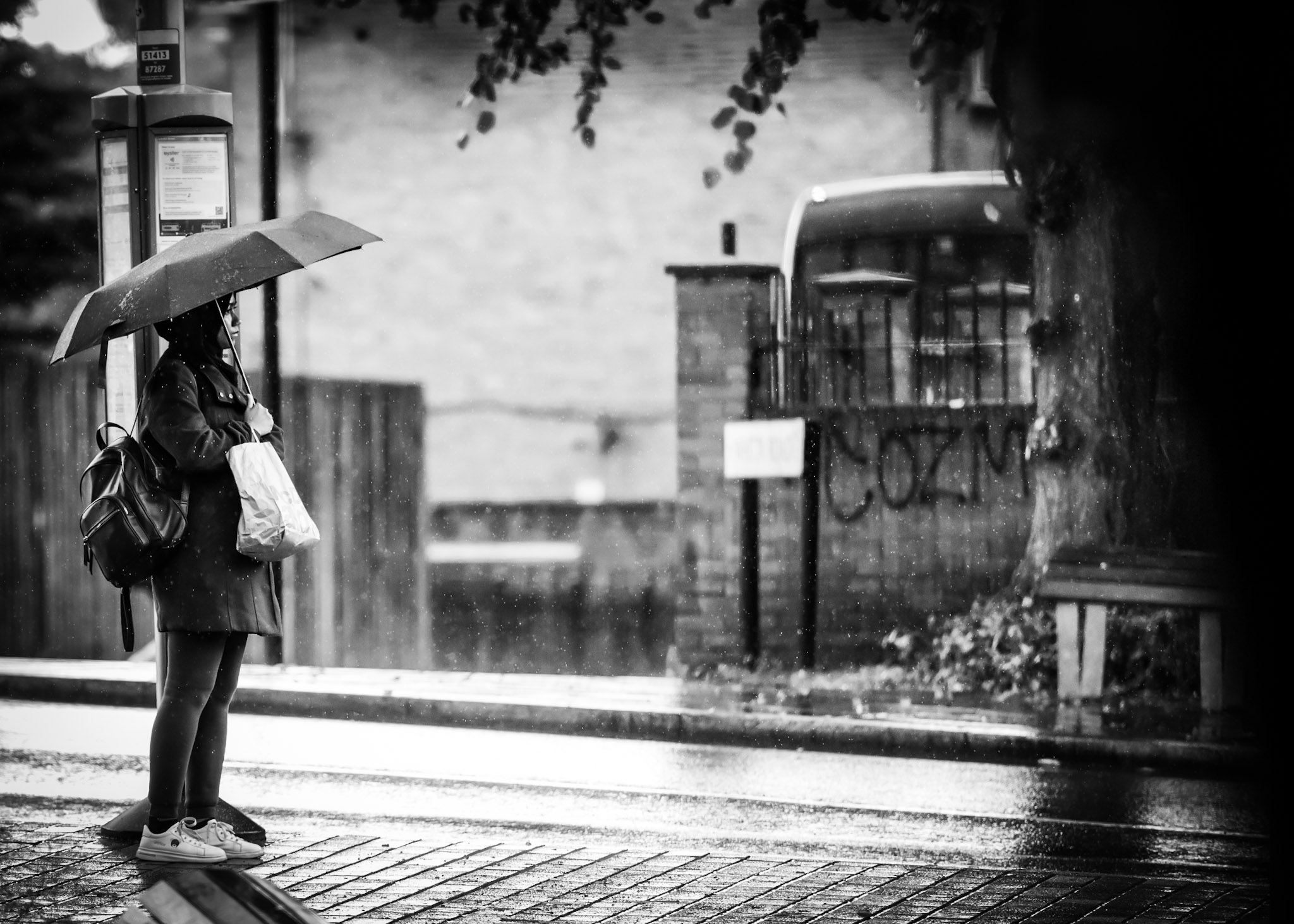 Through My Lens photograph